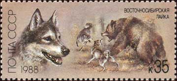 Soviet Union stamp with East Siberian Laikas hunting a bear